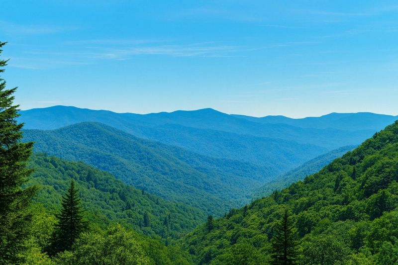 Local Concrete Epoxy Service in Maggie Valley, NC