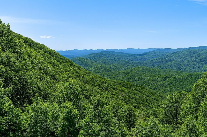 Local Floor Coating Service in Ellijay, GA