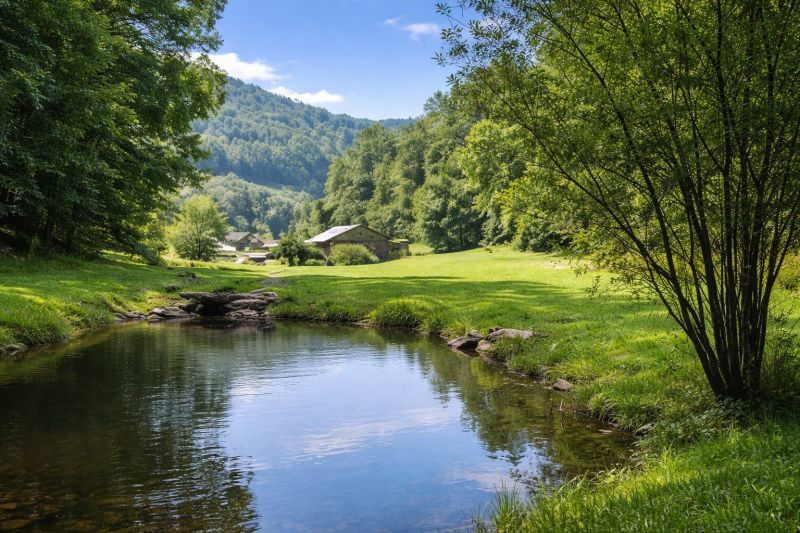 Local Garage Concrete Coating in Leicester, NC