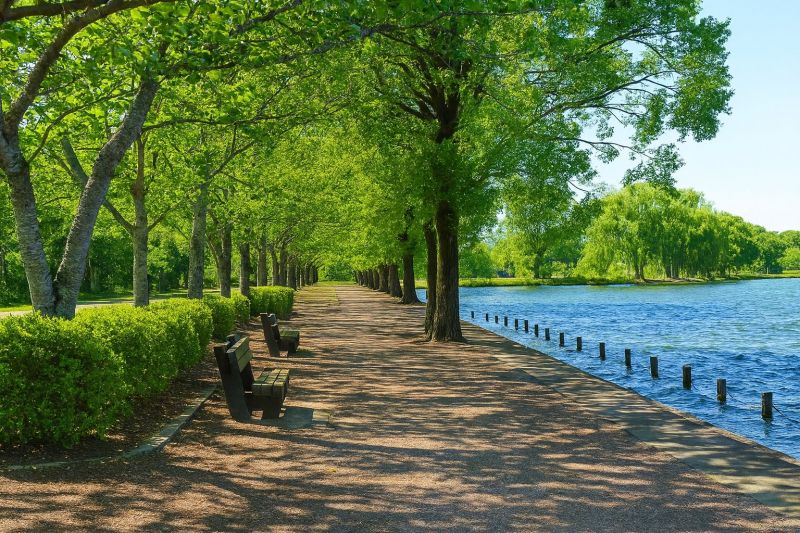 Local Garage Floor Renovation in High Ridge, MO