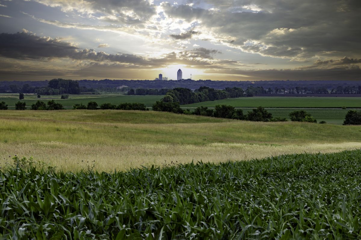 Local Metallic Epoxy Service in West Des Moines, IA