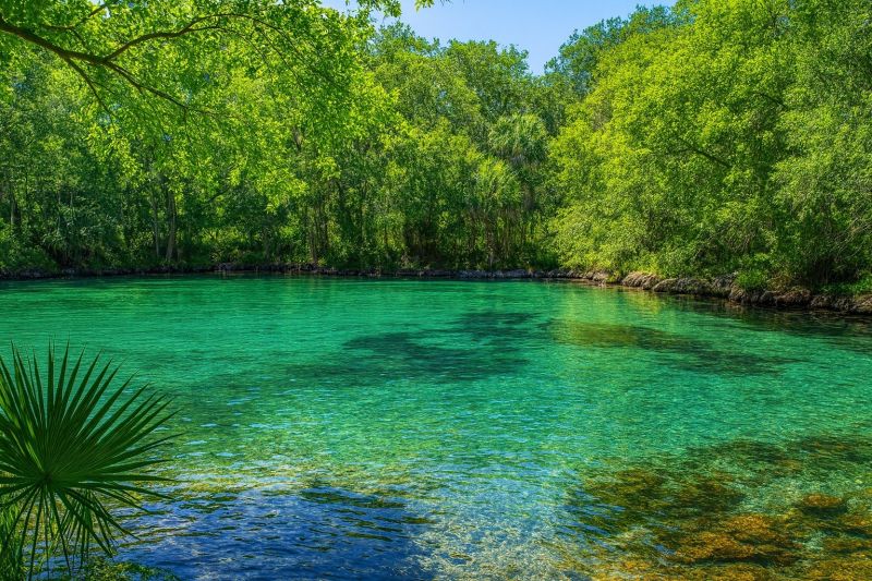 Local Metallic Epoxy Service in Interlachen, FL