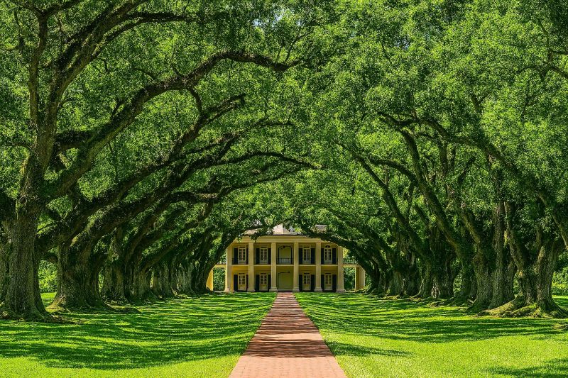 Local Metallic Epoxy Service in Mandeville, LA