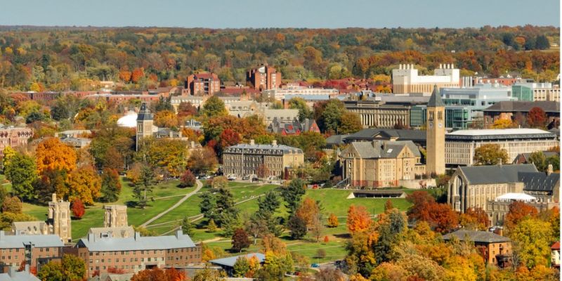 Local Retail Floor Painting in Ithaca, NY